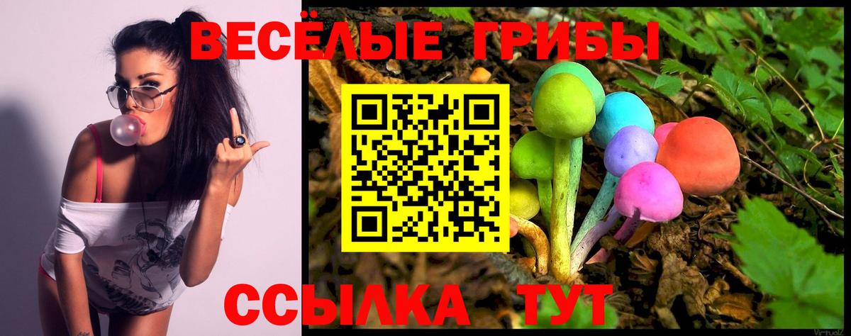 Мариинск  Псилоцибиновые грибы GOLDEN TEACHER  сколько стоит  Вход с VPN 