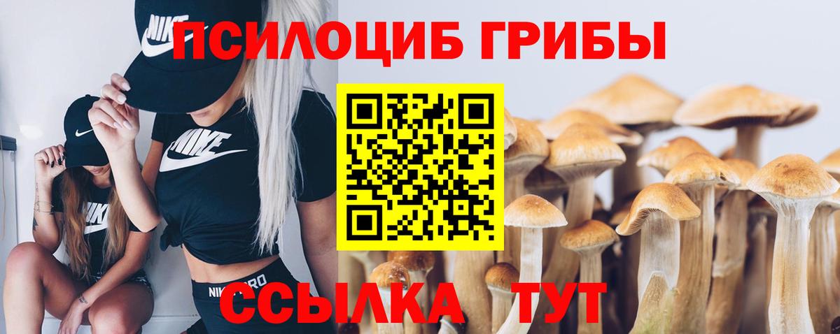 Галлюциногенные грибы мухоморы Мариинск